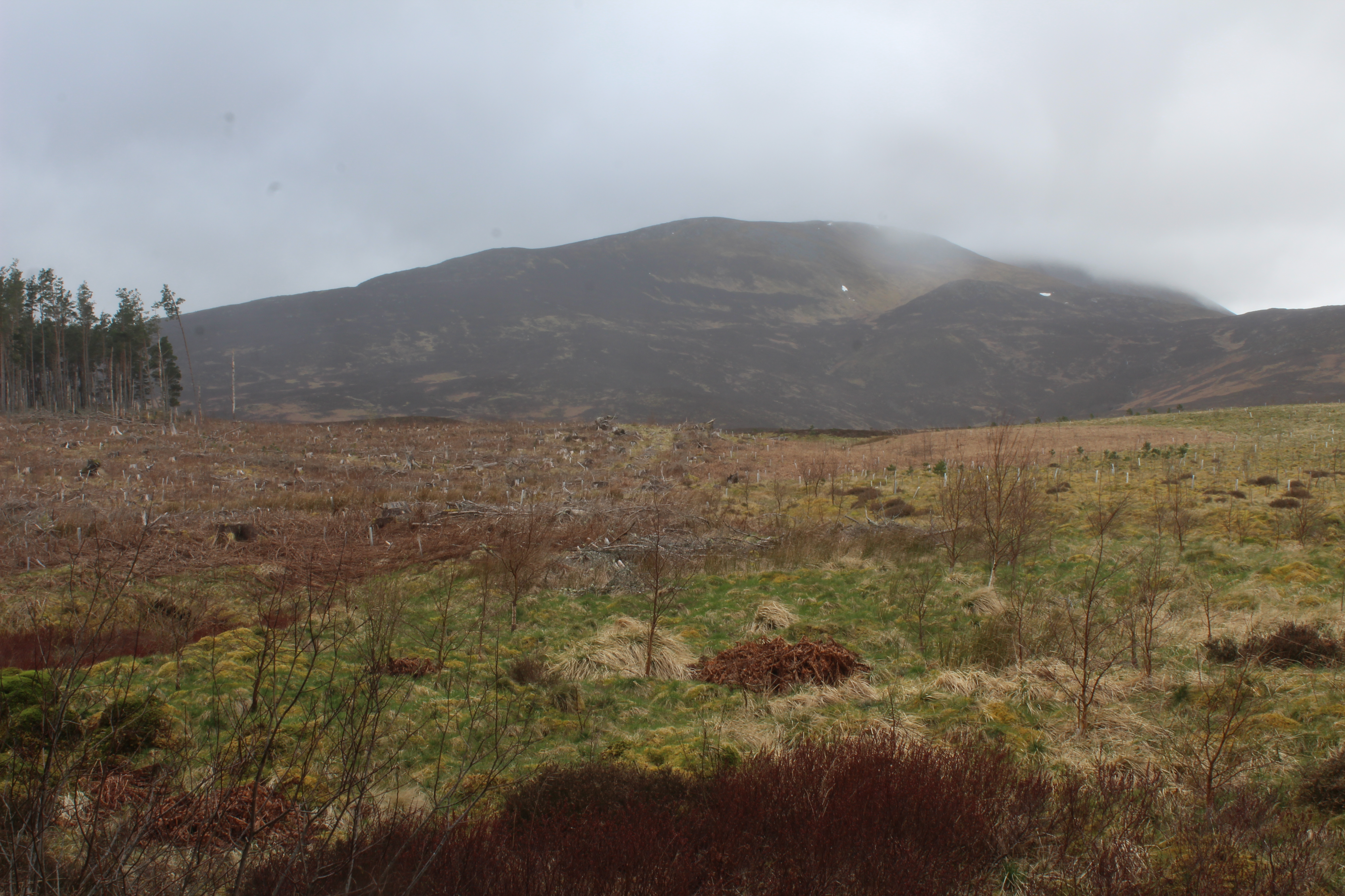 Schiehallion - Heather Graham