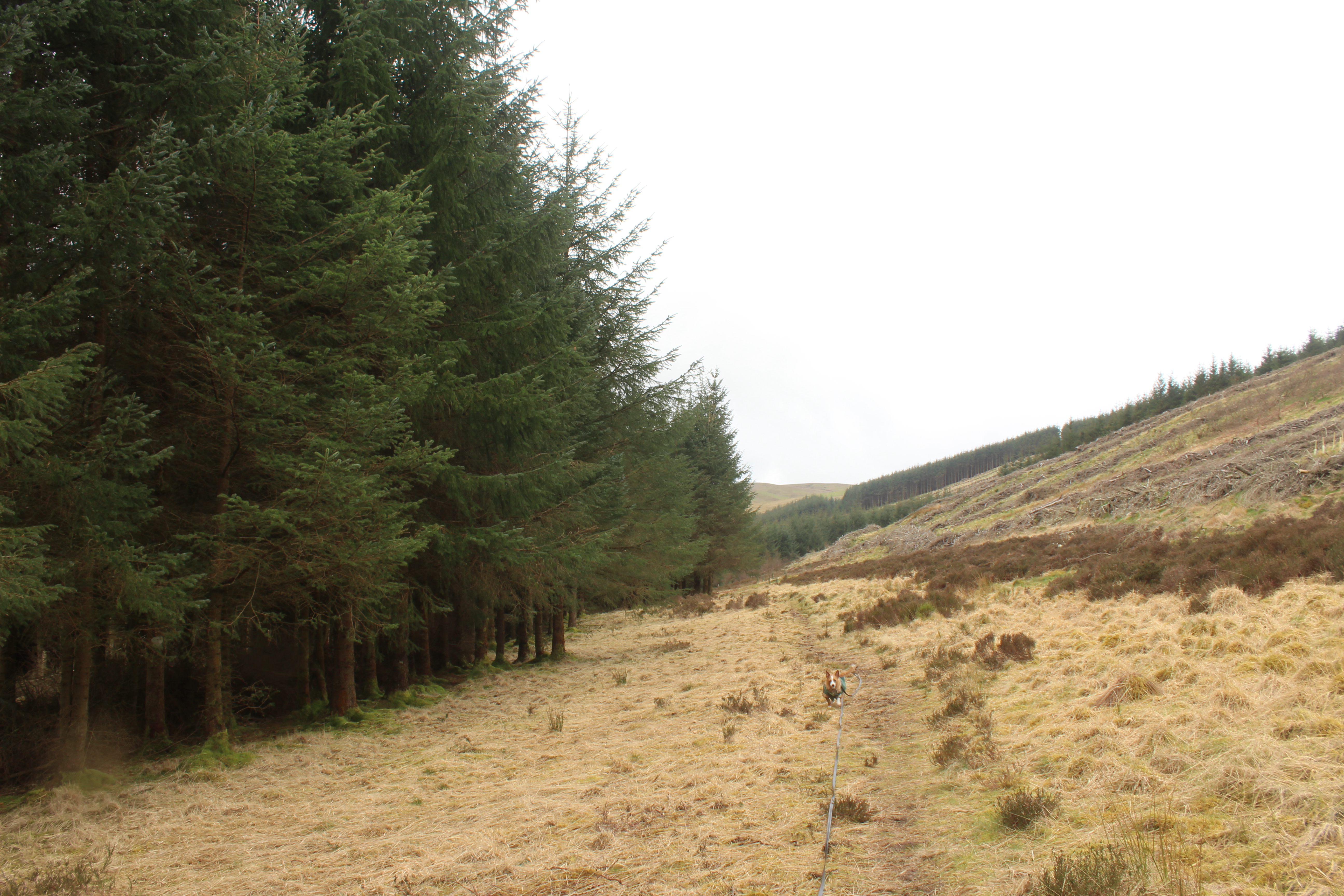 Glenlude - Heather Graham