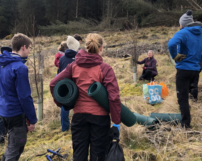 Jamie's Wood at Glenlude 2024 c