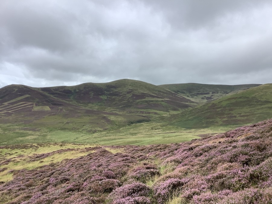 Sitka at Stobo Hope - Broughton Heights