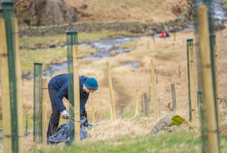 Wythburn tree planting with Mountain Equipment 2023 