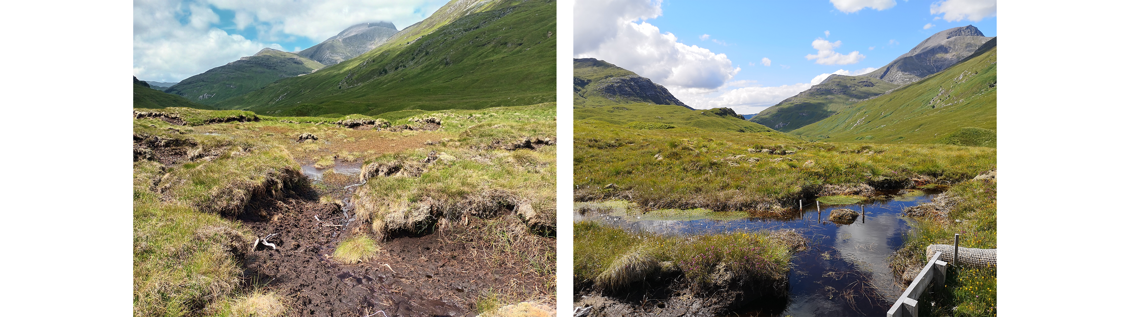 Glen Nevis peatland restoration - before and after 2 years