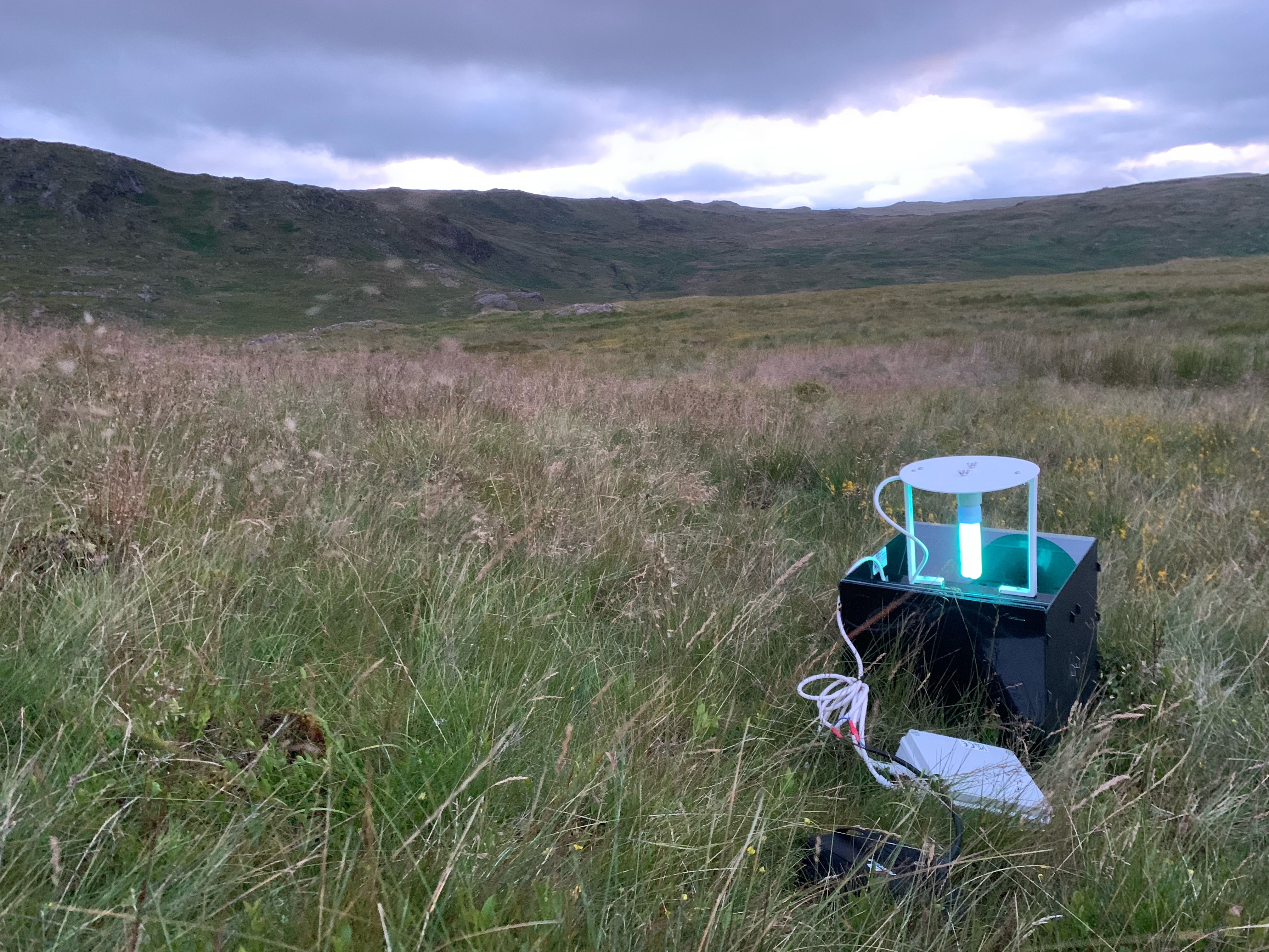 Moth trap at Thirlmere Aug24