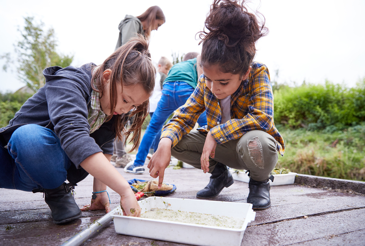 Pond dipping close up