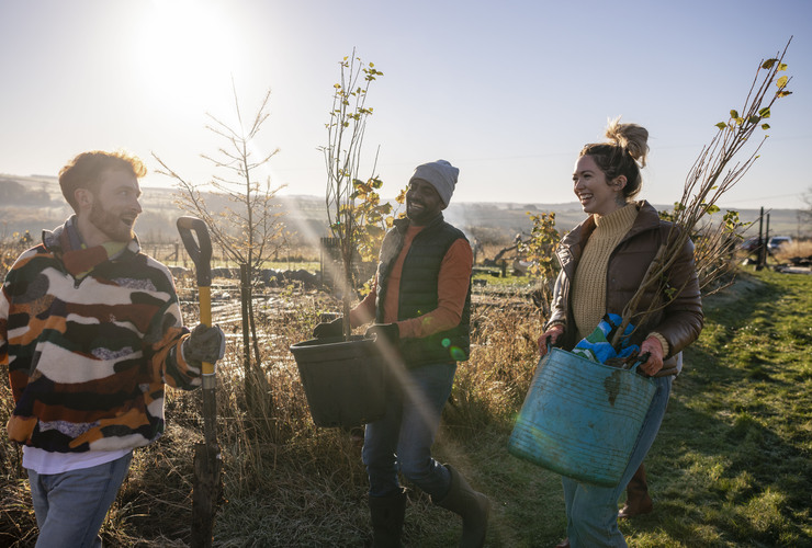 Tree planting