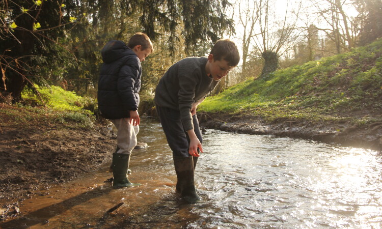 Boys exploring a stream