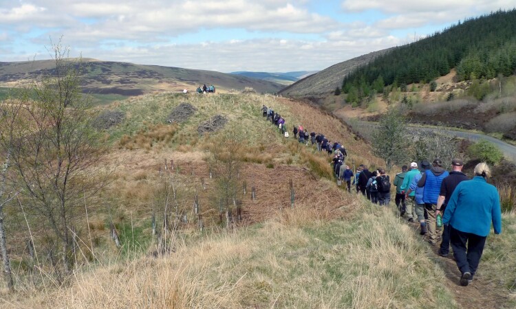 2025 Phoenix Futures planting day