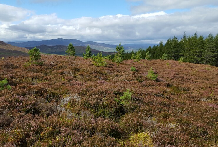 regen at schiehallion