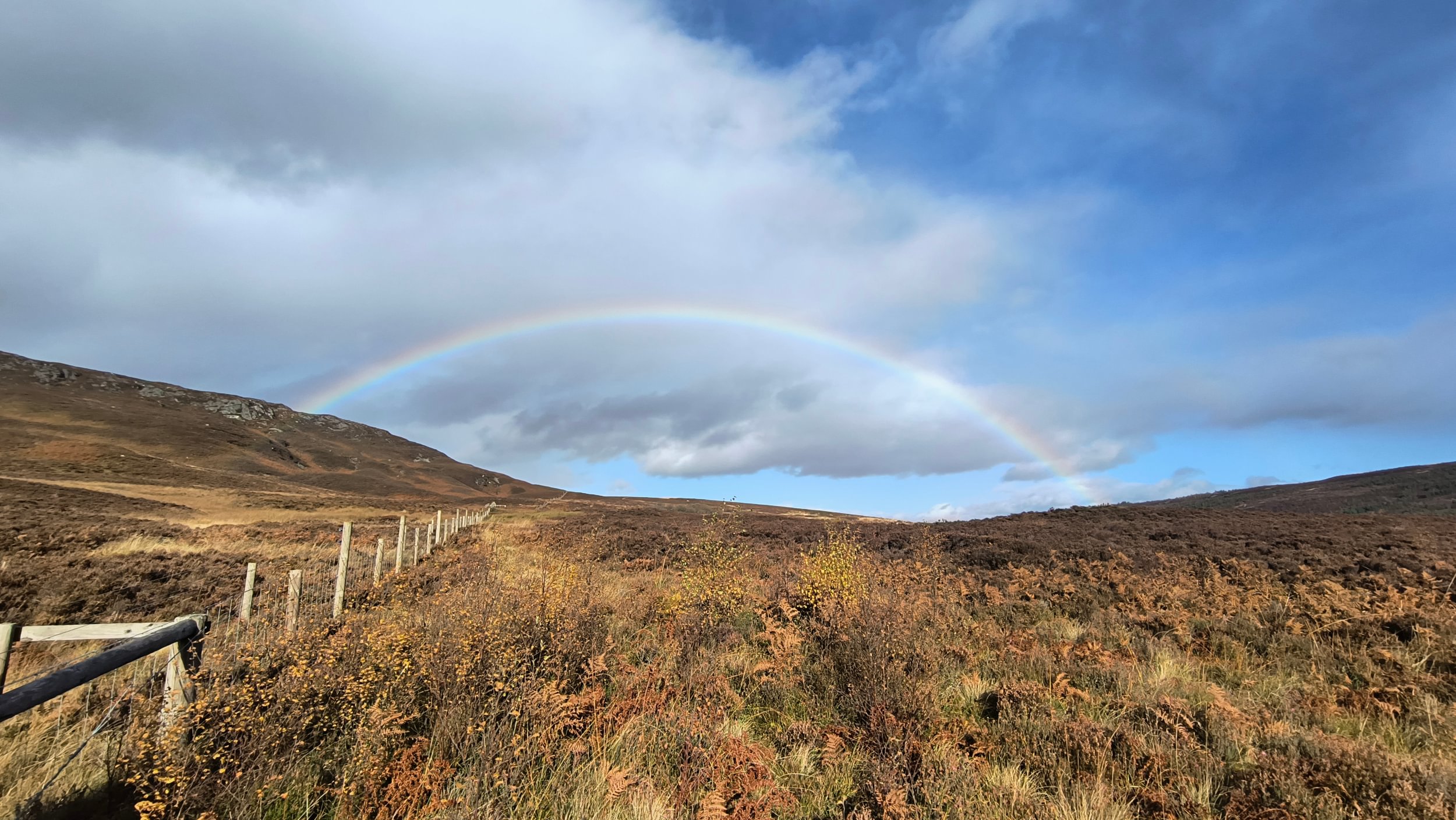Schiehallion fence and rainbow TC5