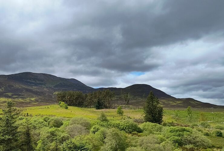 TC4 - Schiehallion nearby woodland