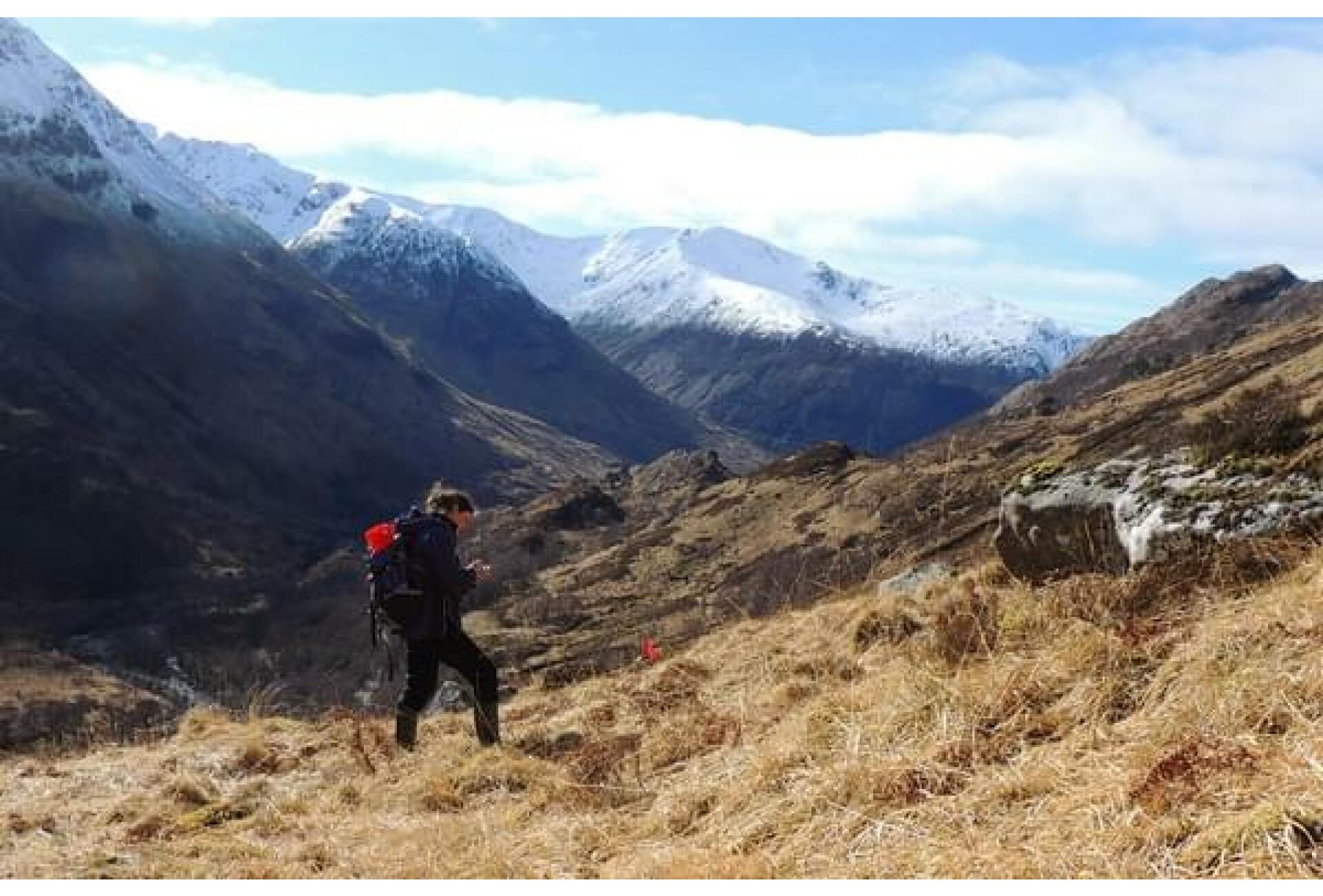 Ali on Nevis