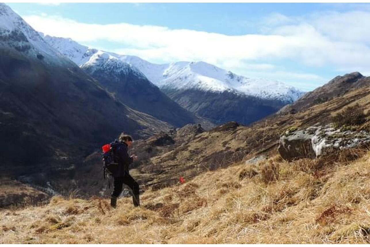 Ali on Nevis
