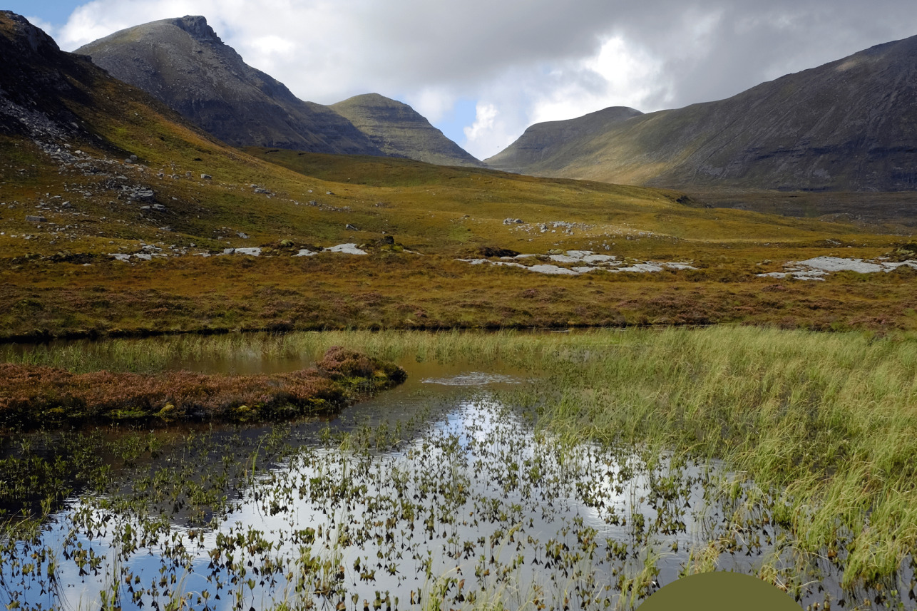 AAA