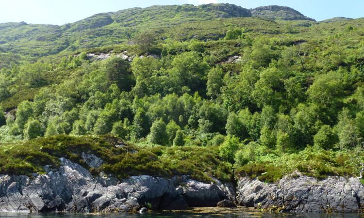 Li & Coire Dhorrcai