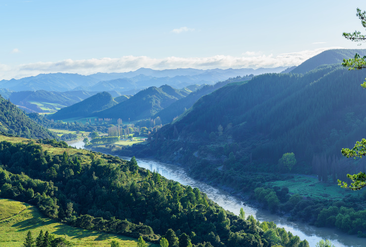J78 - Whanganui River NZ - Adobe stock