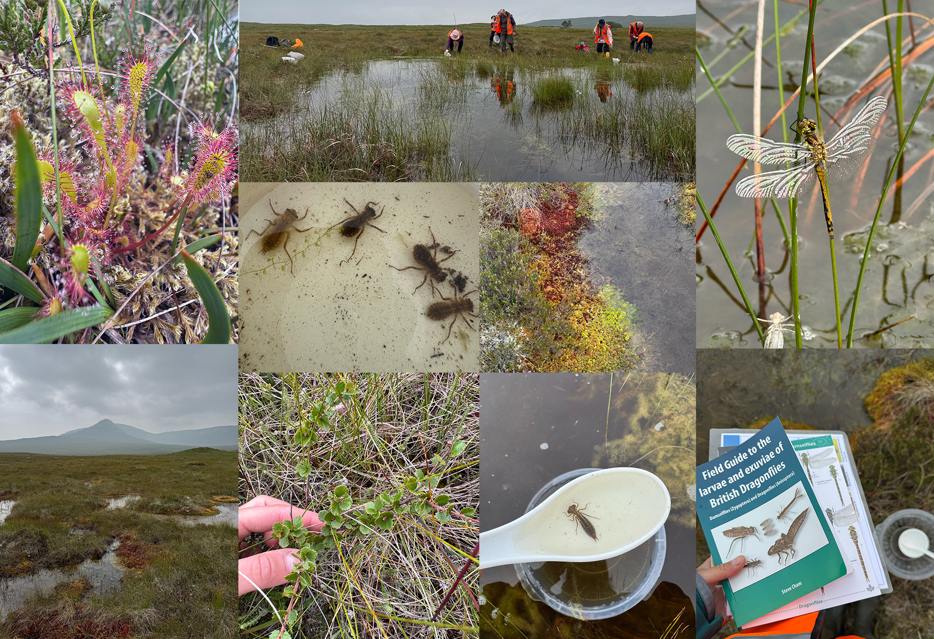 Dragonfly training at Corrour