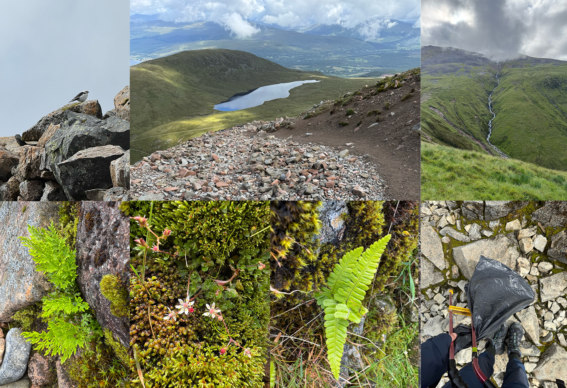 Nevis summit path check 