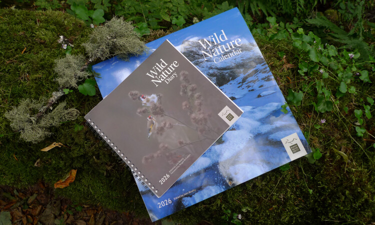 WS xmas 2025 - diary and calendar