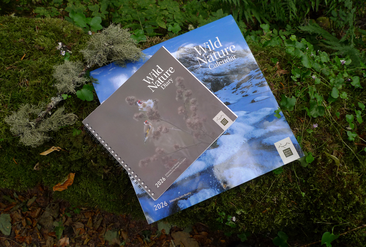 WS xmas 2025 - diary and calendar