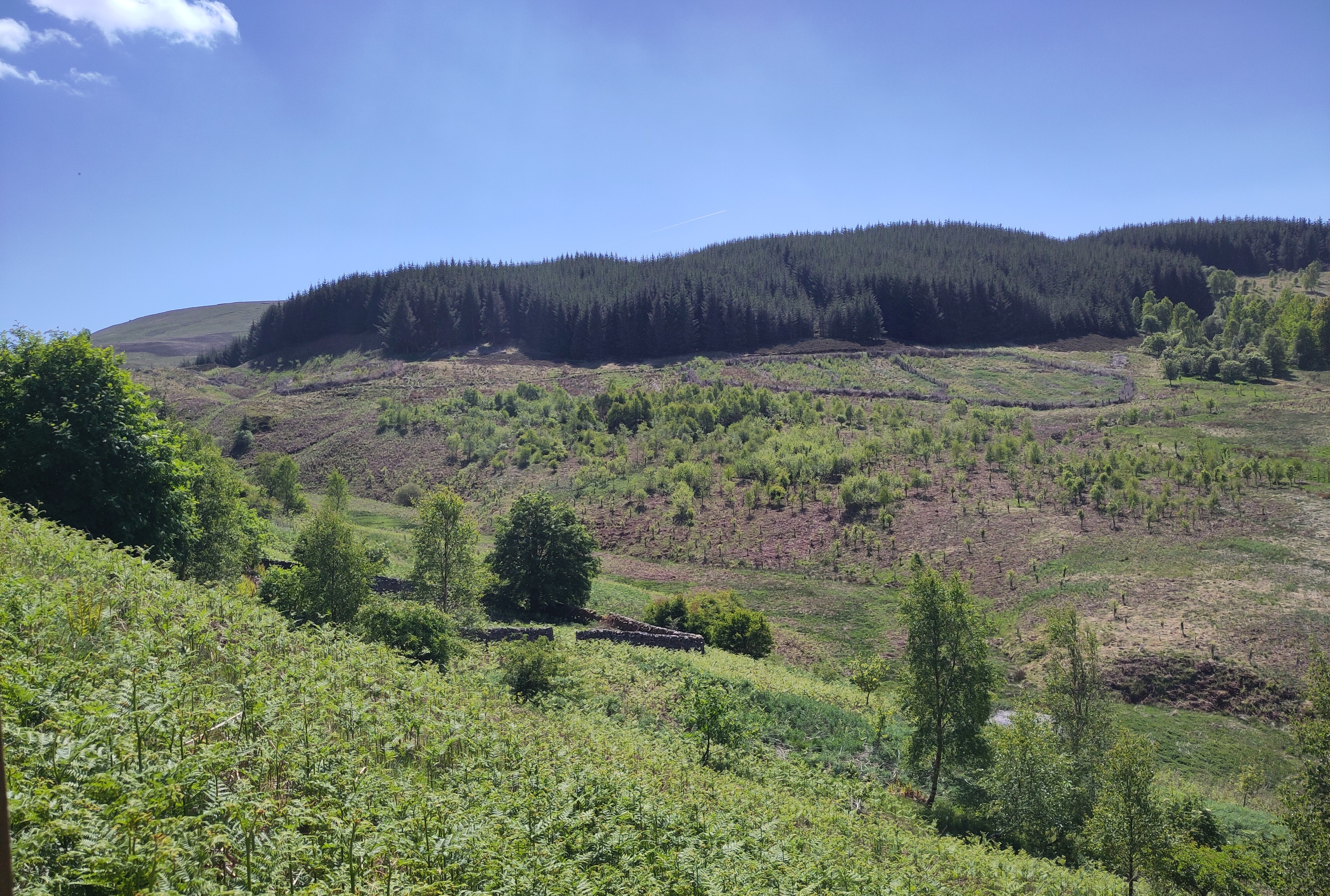 Glenlude partnership nominated for Nature of Scotland Award 2025