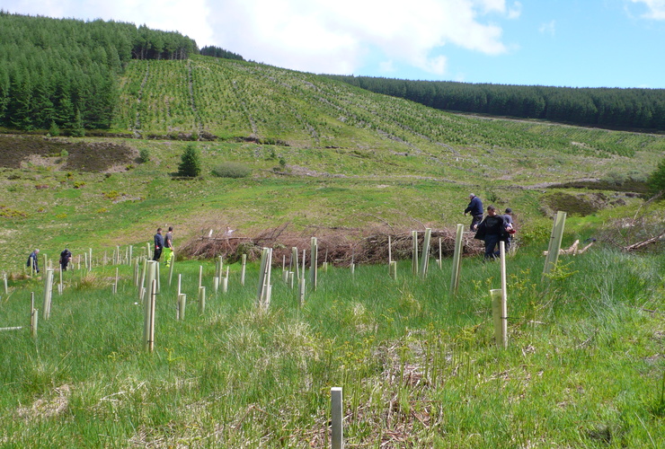 Recovery through nature - Phoenix Futures vols at Glenlude