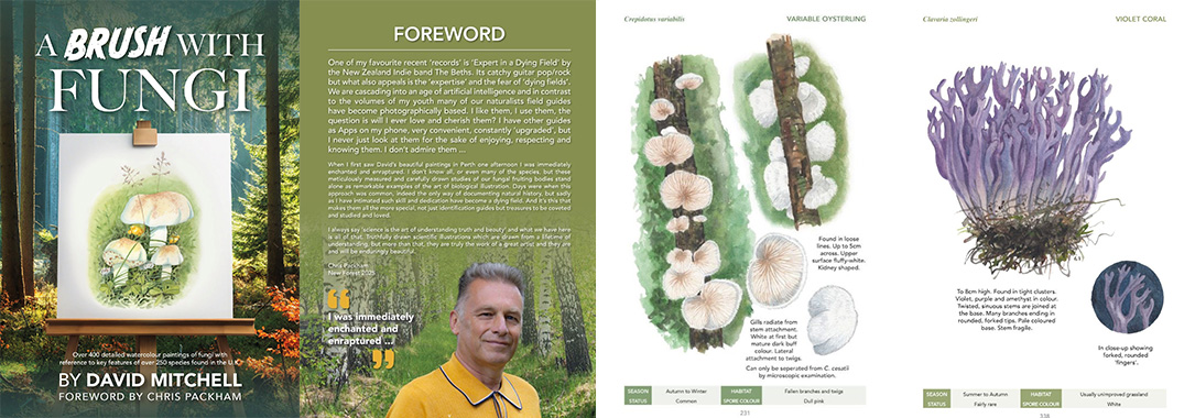 David Mitchell - A brush with fungi pages