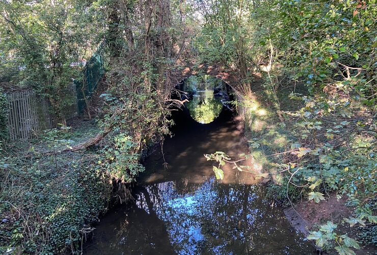 Charterhouse Heritage Park path