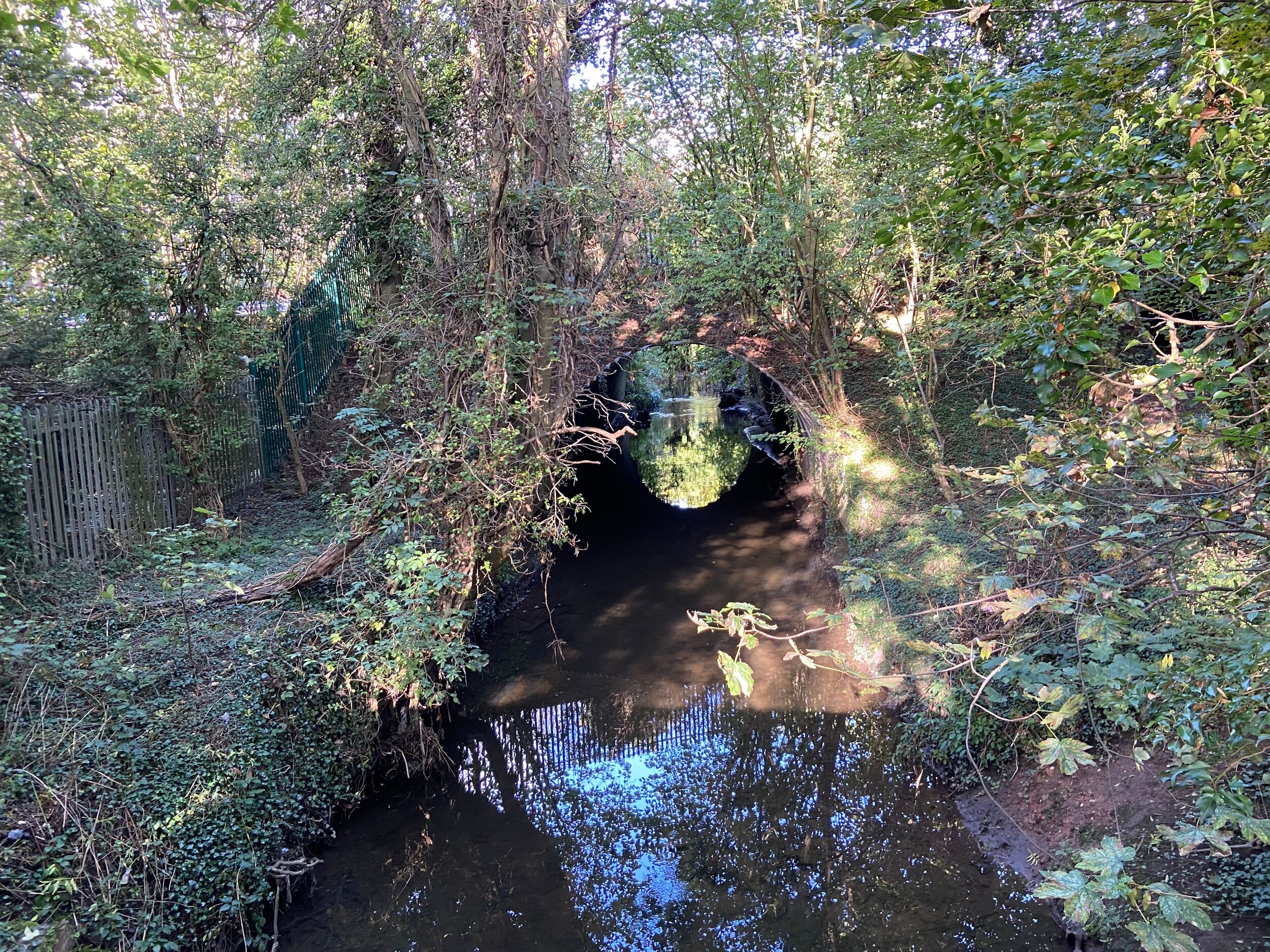 Charterhouse Heritage Park path
