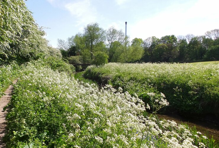 River Sherbourne, Coventry by Les Ward