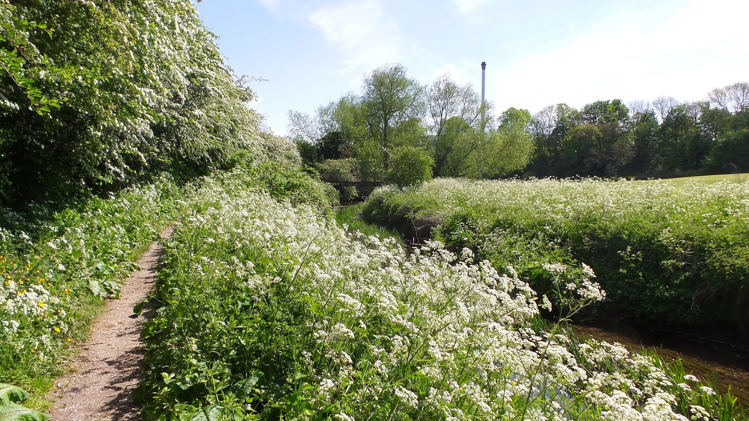 River Sherbourne, Coventry by Les Ward