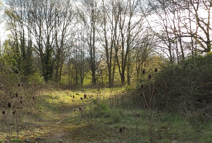 Charterhouse - Les Ward