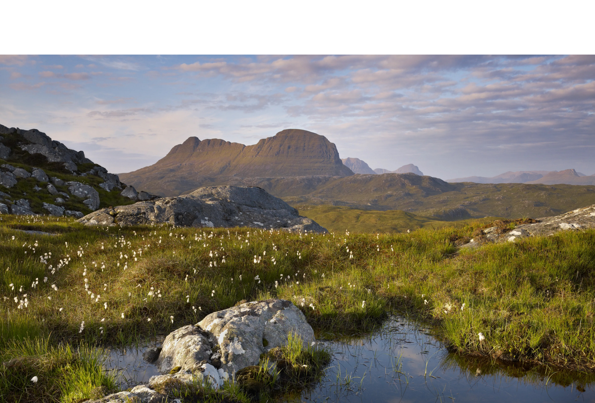 Assynt