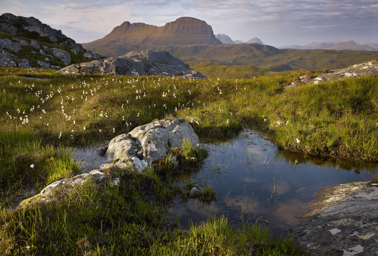 Assynt