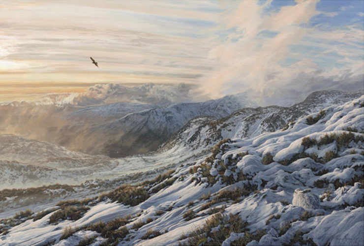 Martin Ridley hare 2