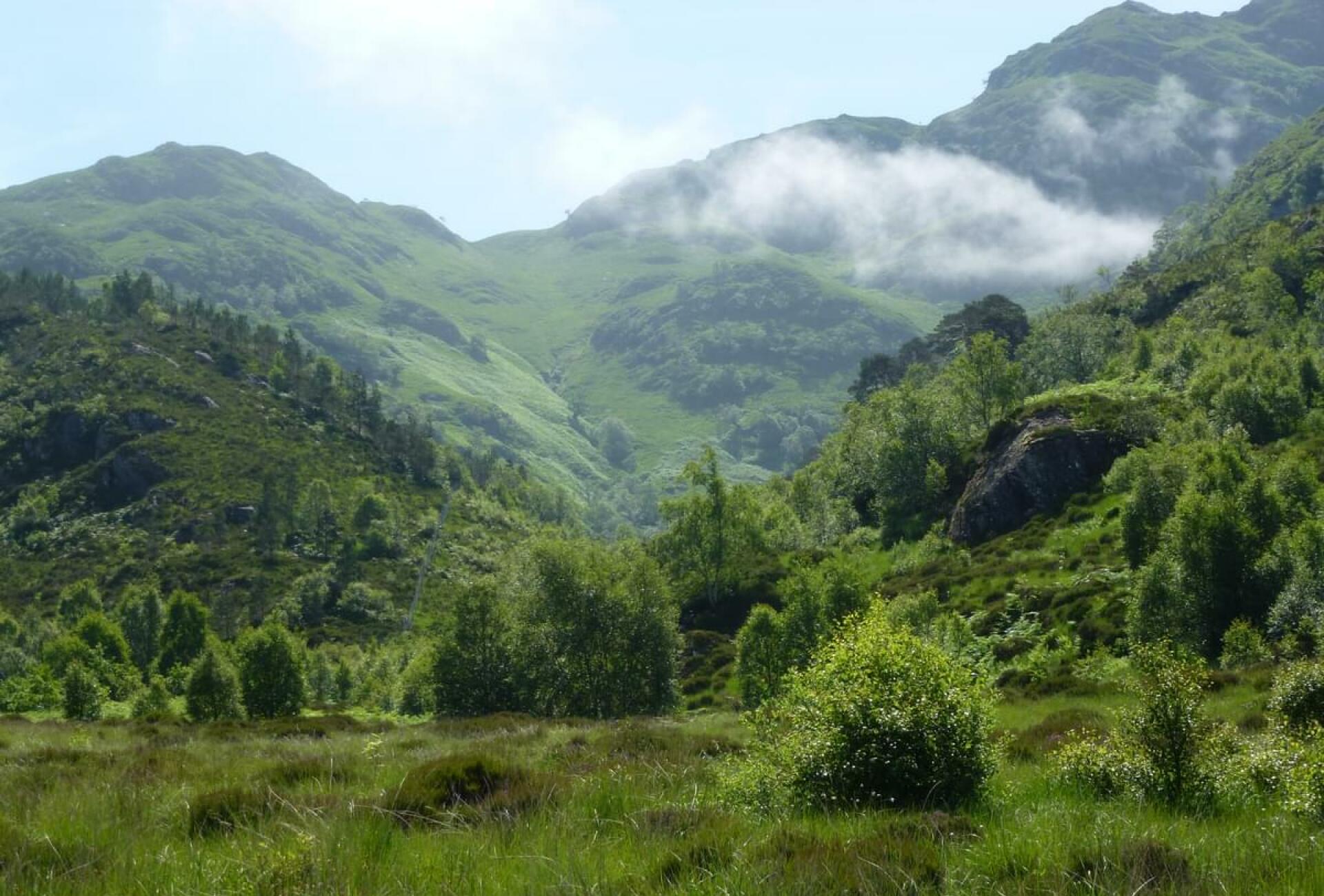 www.johnmuirtrust.org