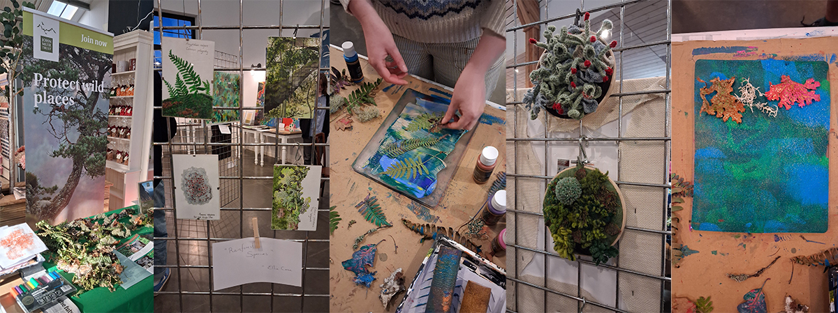 NNN Creative rainforest showcase artwork 2026