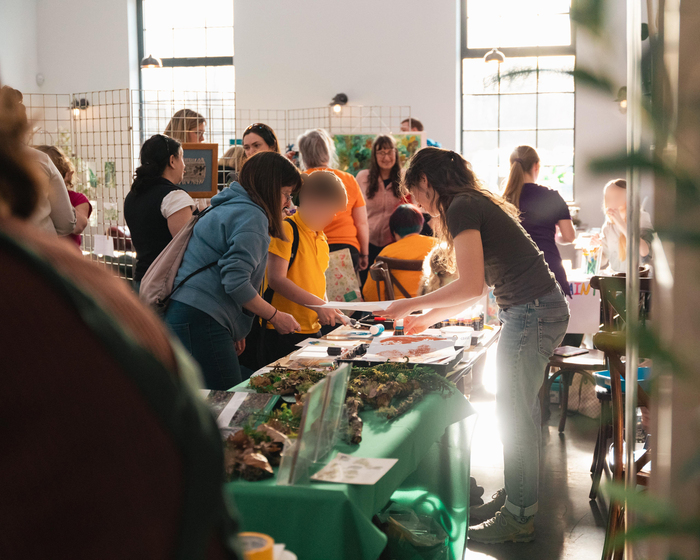 NNN Creative rainforest showcase stall 2026