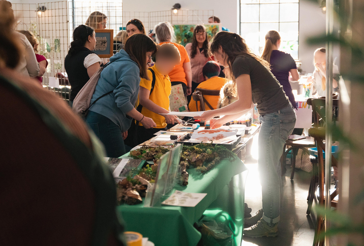 NNN Creative rainforest showcase stall 2026