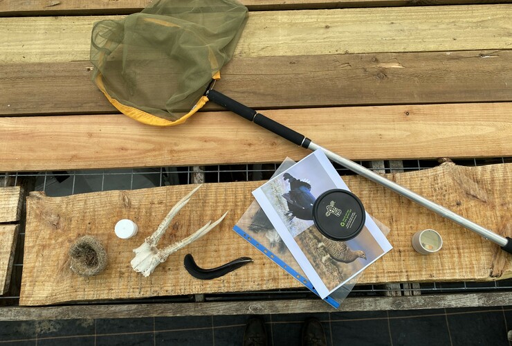 finds table 2