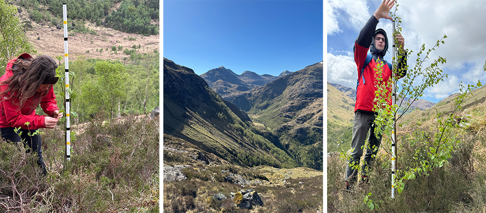 UHI students monitoring in Glen Nevis 
