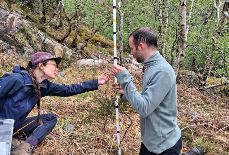 UHI students and Nevis team monitoring in Glen Nevis