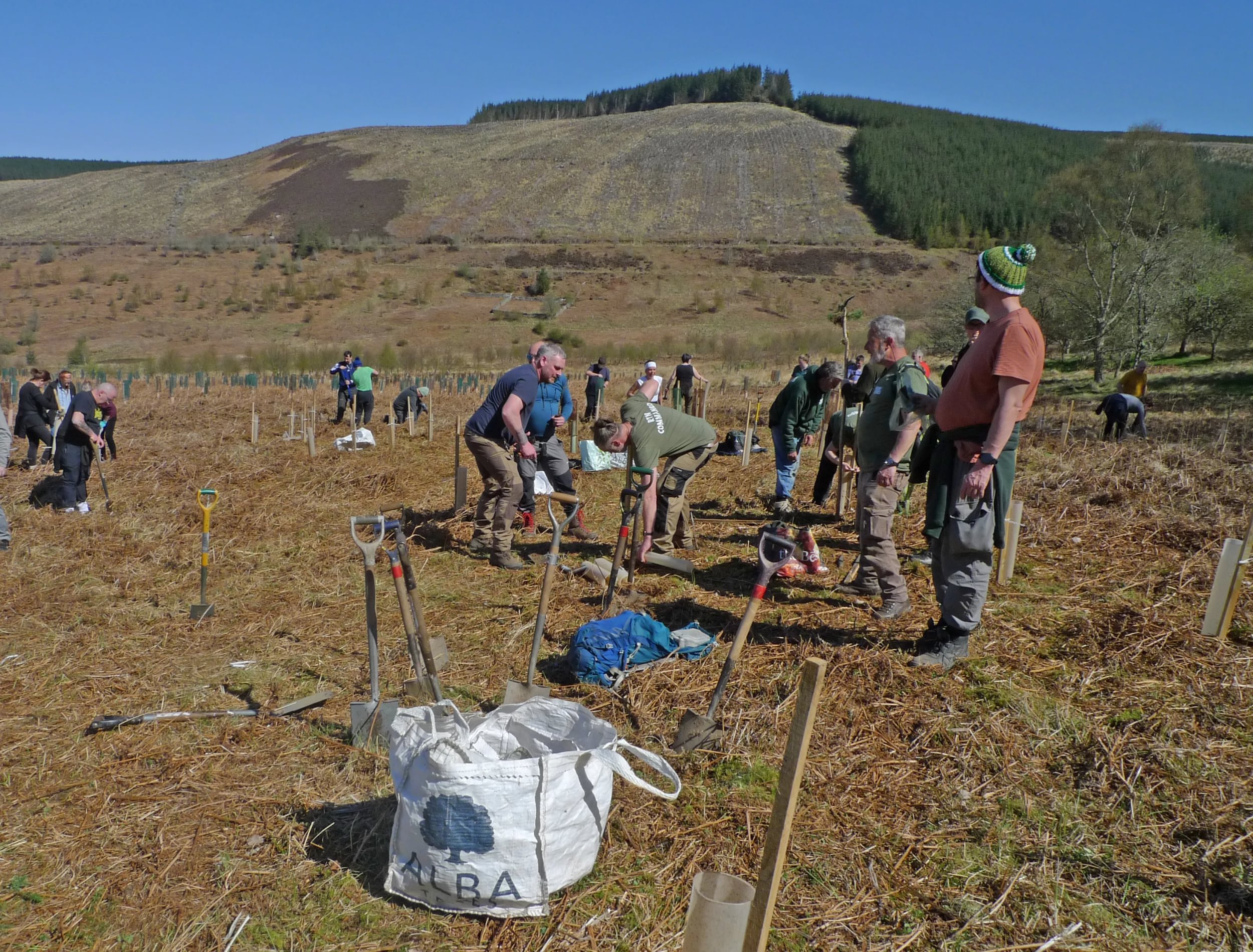 2026 Phoenix Futures planting day 1