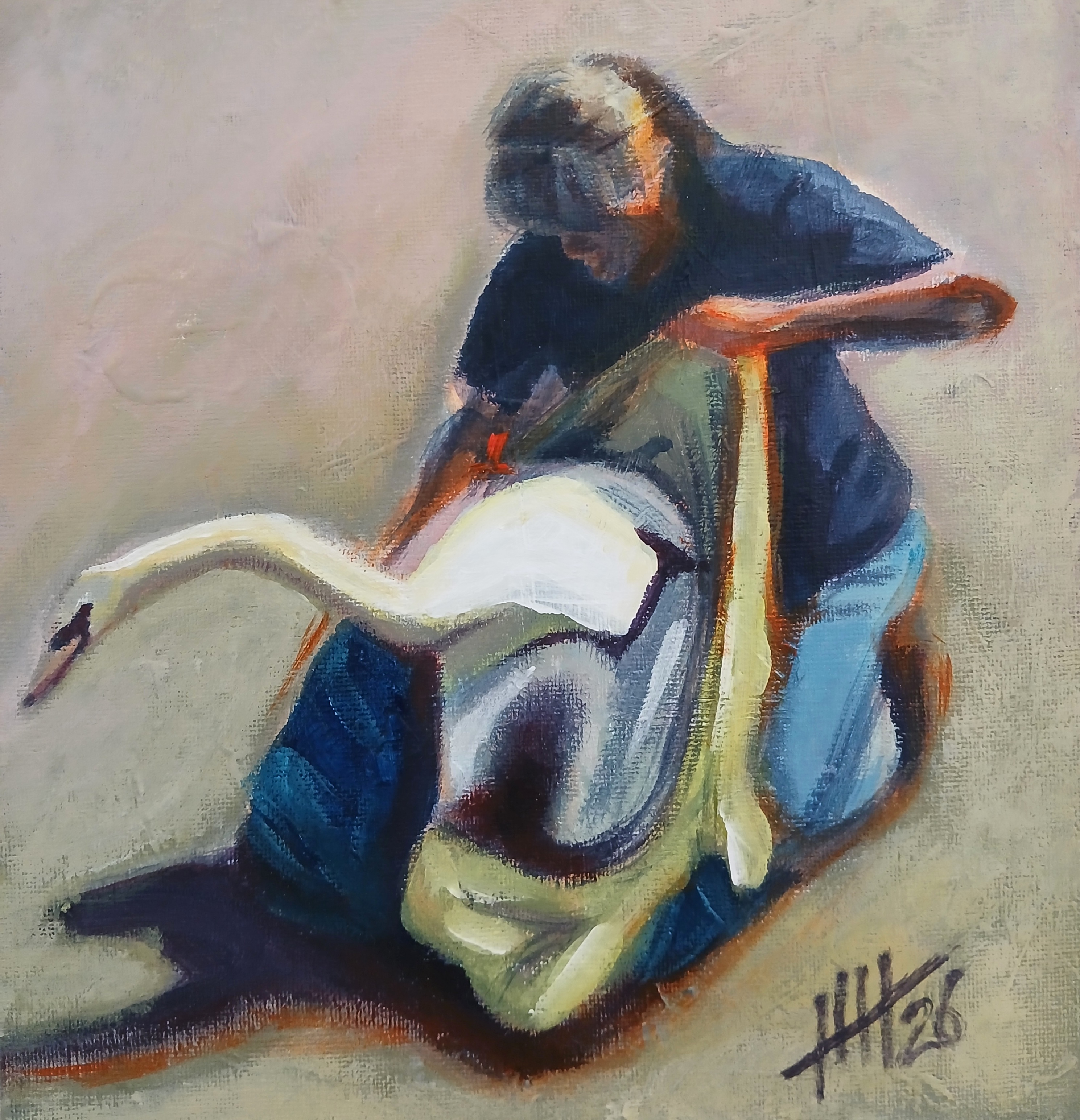 Holly Hayward - swan rescue