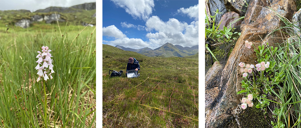 Glen Nevis habitat monitoring