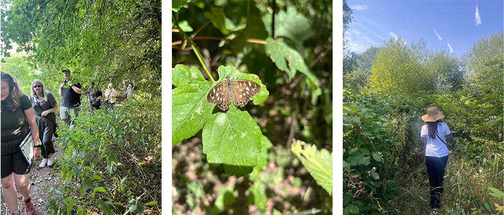 Woodland Wonders walk at Charterhouse Heritage Park