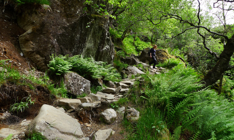 Steall Gorge path