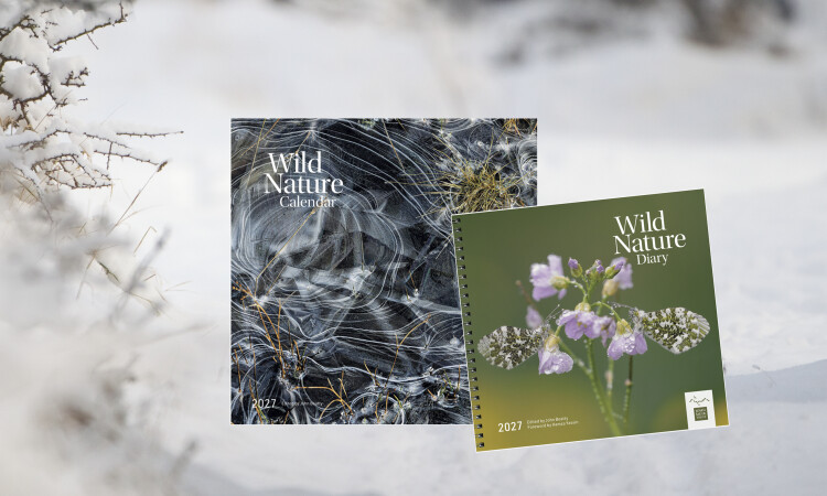 Winter - diary and calendar