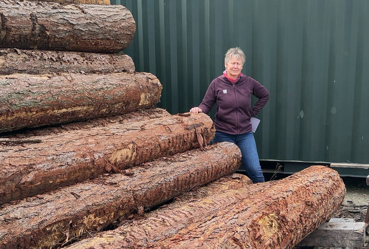 Gathering Shelter timber