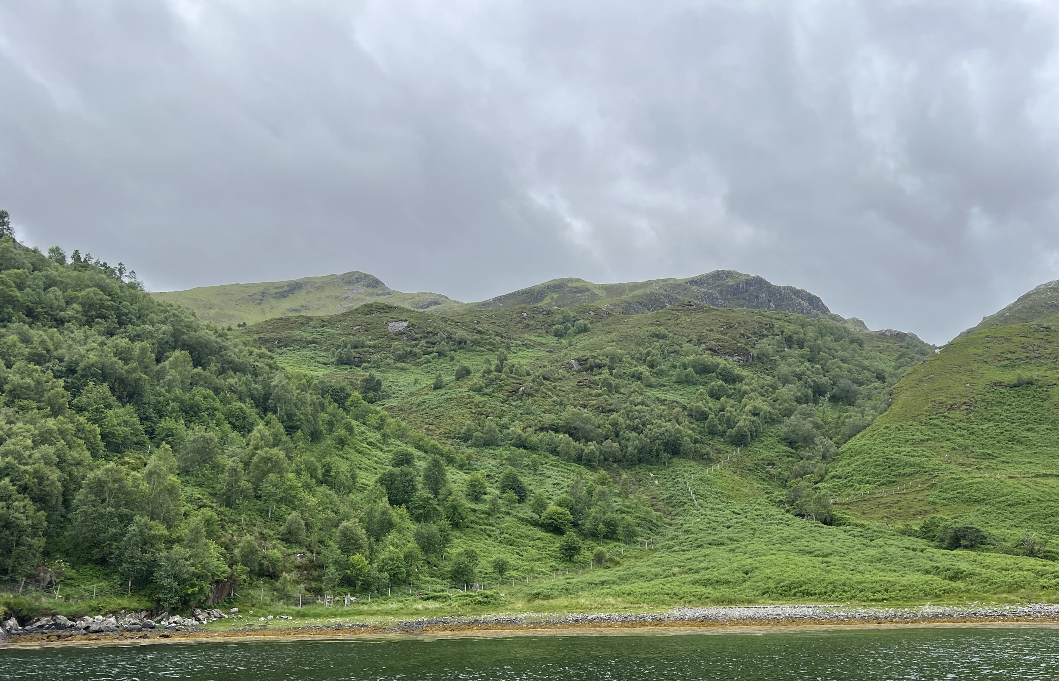 Knoydart fence
